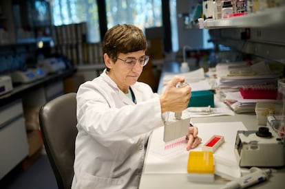 Edurne Baroja, investigadora de la Asociación Navarra para la Investigación del Cáñamo, en su laboratorio.