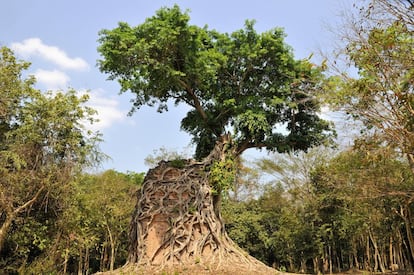 Sambor (Camboja) / SIGURD DOEPPEL