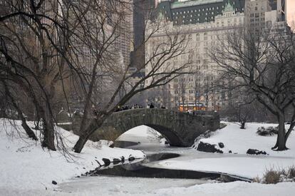 Central Park cubierto por la nieve.