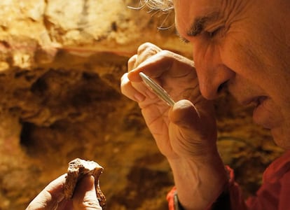 Juan Luis Arsuaga observa un trozo de cráneo descubierto en la campaña de excavación de 2014 en Atapuerca.