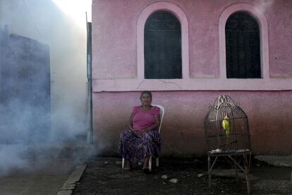 Una mujer en el exterior de su vivienda mientras trabajadores municipales fumigan en Managua (Nicaragua), el 26 de enero de 2016.