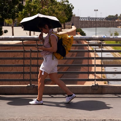 Una persona se resguarda del calor. A 1 de agosto de 2024, en Mlaga (Andaluca, Espa?a). Andaluca recibe agosto con avisos por calor en todas las provincias y mximas de 43 grados. La Agencia Estatal de Meteorologa (Aemet) ha activado los avisos naranjas y amarillos para este jueves en toda la comunidad andaluza.
?lex Zea / Europa Press
(Foto de ARCHIVO)
01/8/2024