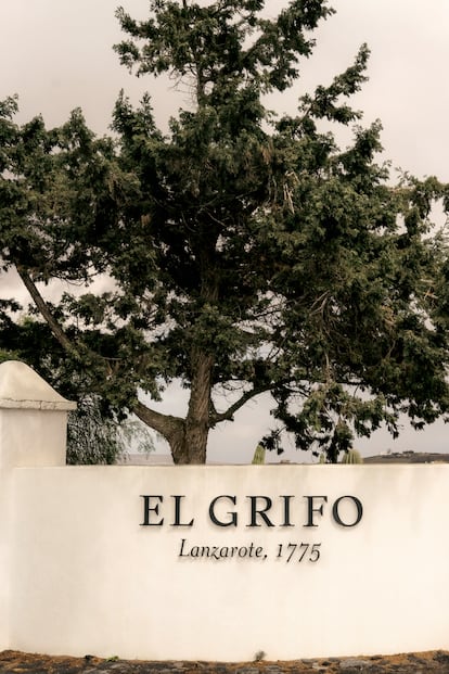 Bodegas El Grifo