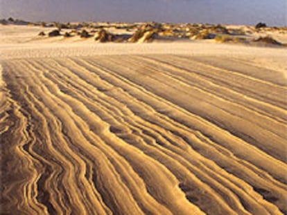 Dunas en el parque nacional de Doñana.