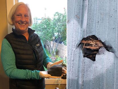 Ruth Hamilton con el meteorito que cayó sobre su cama.