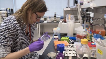 Una investigadora en un laboratorio en Nueva York