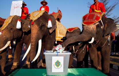 Un elefante deposita su voto durante una campaña para animar a los votantes a participar en las próximas elecciones generales, en Ayutthaya (Tailandia). Alrededor de 51,4 millones de tailandeses están llamados a las urnas para participar en los comicios el próximo 24 de marzo.