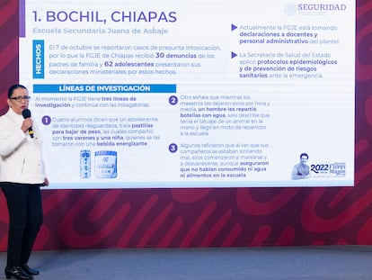 La titular de la secretaría de Seguridad y Protección Ciudadana, Rosa Icela Rodríguez, durante la conferencia mañanera del 8 de noviembre de 2022.