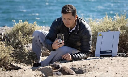 El conservacionista argentino Pablo García Borboroglu recopilando datos sobre la población de pingüinos de la Patagonia. ©Rolex/Tomas Bertelsen