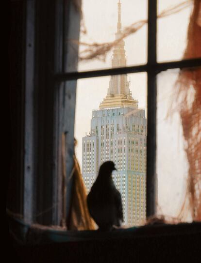 Detalle del Empire State desde la ventana de un edificio de Nueva York.