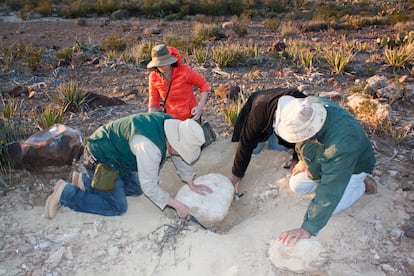 Paleontólogos en la zona de excavación, en Cerro del Pueblo, al sur de Coahuila.