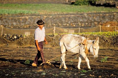 Un campesino trabajando la tierra.