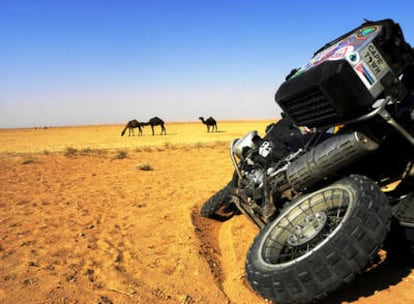 Un rebaño de camellos rompe la monotonía del Desierto Sirio