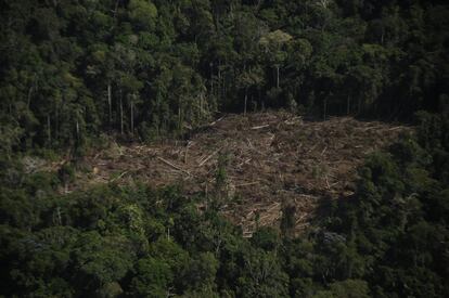Cerca del 21.000 hectáreas de territorio perteneciente a comunidades indígenas en la Amazonía peruana ha sido deforestado con fines ilegales en 2021.