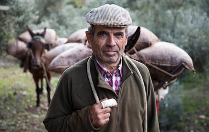 Rafael Cuadrado, arriero cordobés.