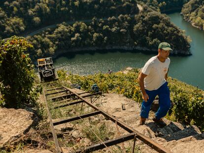 Raíles por los que se suben las cajas con uva en la vendimia heroica de la Ribeira Sacra, con la confluencia entre los ríos Sil y Edo al fondo.