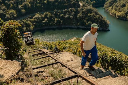 Raíles por los que se suben las cajas con uva en la vendimia heroica de la Ribeira Sacra, con la confluencia entre los ríos Sil y Edo al fondo.