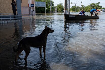 Residentes en el interior de un bote durante las labores de evacuación en la ciudad de Jersón, este miércoles. 