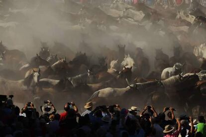 “La magia de Doñana”