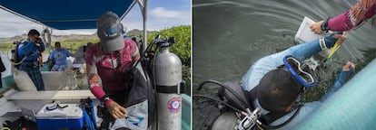 Pescadores capacitados como buzos durante los monitoreos submarinos.