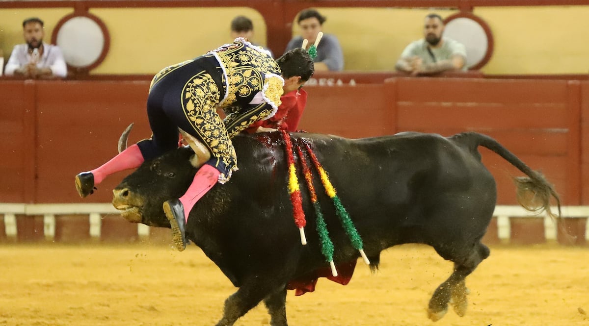 Daniel Luque sufre una grave cornada en el abdomen en la plaza de El Puerto  | Cultura | EL PAÍS