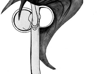 SCIAMMARELLA