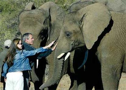 George Bush y su hija Barbara tocan a un elefante africano en la reserva natural Mokolodi, en Botsuana.