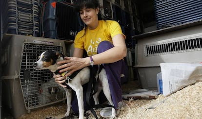 Gema, de la protectora de animales Alba (Camarma de Esteruelas) con Catavino, un perro adoptado por una familia suiza.