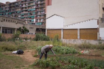 Hort urbà a Pep Ventura.