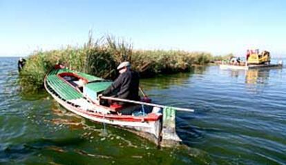 Las matas de L&#39;Albufera, las tpicas <i>islas flotantes</i>.