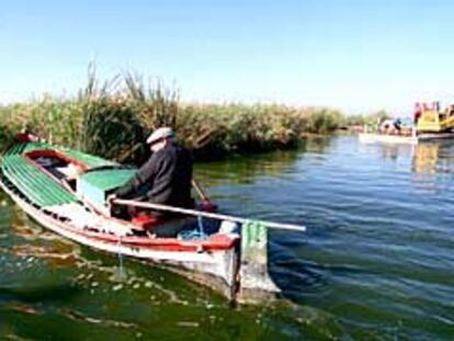 Las matas de L'Albufera, las típicas <i>islas flotantes</i>.