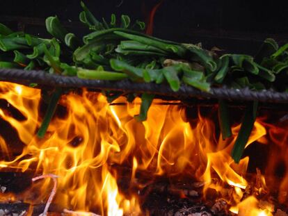 Imagen de unas brasas cociendo 'calçots'.