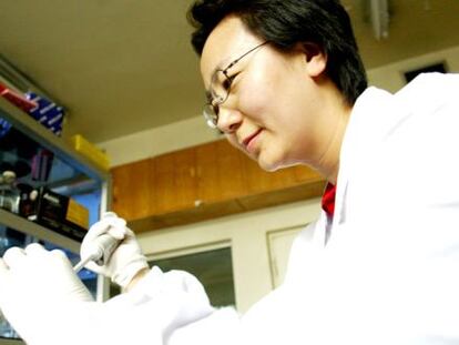 Chen Hualan en su laboratorio de Harbin (China).