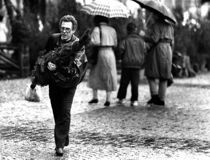 Un hombre lleva, el 15 de diciembre de 1990, un árbol de Navidad comprado en la Plaza Mayor de Madrid y procedente de vivero legal. Con la llegada de estas fiestas, familias enteras salían a la sierra de Madrid en busca de un árbol de Navidad con el que decorar el salón y acabar, después de Reyes, en el cubo de la basura. El año anterior, la Comunidad de Madrid, con la colaboración del Ejército, puso en marcha una iniciativa para recoger estos árboles y reforestar una zona colindante a la M-30, que fue bien acogida. Se salvaron el 20% de los árboles.