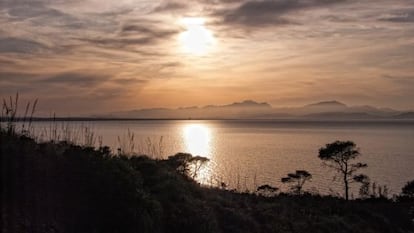 Una vida, els paisatges i la memòria d'algú són els seus llibres i papers guardats