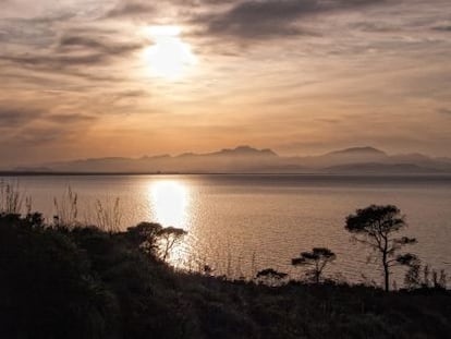 Una vida, els paisatges i la memòria d'algú són els seus llibres i papers guardats