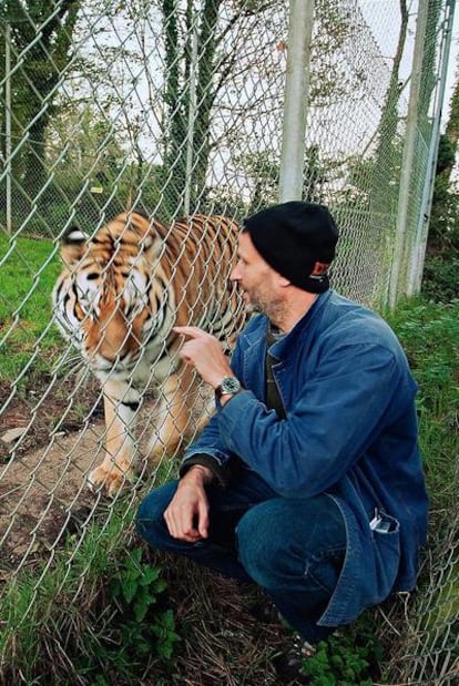 Benjamin Mee , saluda a &#39;Vladimir&#39;, un imponente tigre de Amur.