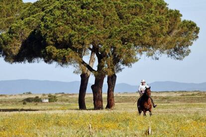Un vaquero atraviesa la campiña toscana de la Maremma.