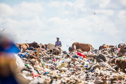 Besides solving the environmental issue, authorities need to plan for the future of the scavengers who will lose their source of income.