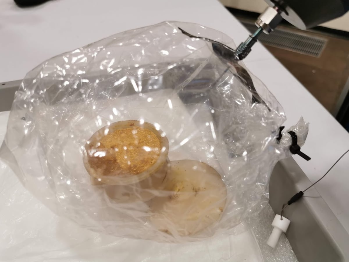 Fish, fruit and beeswax What an Ancient Egyptian tomb smells like