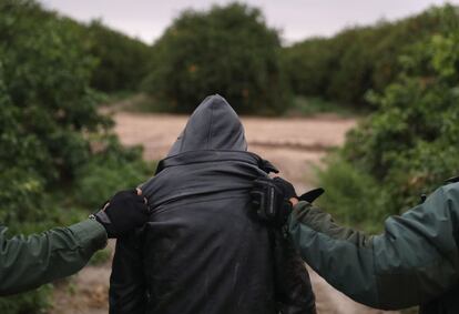 Agentes de la Patrulla Fronteriza detienen a un inmigrante indocumentado de América Central después de capturar a su grupo en un huerto de pomelos. El grupo había cruzado de México a Texas solo momentos antes. 