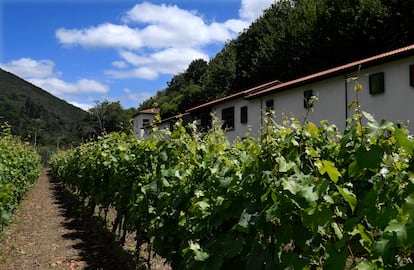 Contigua al parador, a los clientes hospedados se les ofrece una visita por los viñedos de la Bodega Monasterio de Corias. La denominación de origen protegida Cangas cuenta con 40 hectáreas de cultivo. Rueda, en Castilla y León, con 18.000