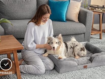 camas para perros, cama perro grande, camas para perros Ikea, las mejores camas para perros, ¿qué tipo de cama es mejor para perros?, camas para perros amazon, camas para perros originales, camas para perros baratas, camas para perros pequeños, cómo hacer camas para perros