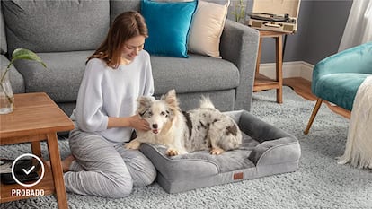 camas para perros, cama perro grande, camas para perros Ikea, las mejores camas para perros, ¿qué tipo de cama es mejor para perros?, camas para perros amazon, camas para perros originales, camas para perros baratas, camas para perros pequeños, cómo hacer camas para perros