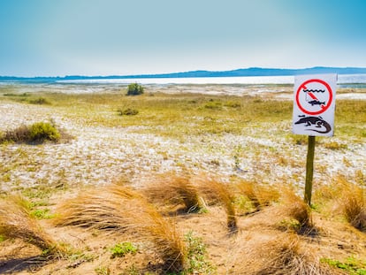 Cartel avisando de la presencia de cocodrilos en el parque del Humedal de iSimangaliso, en Sudáfrica.
