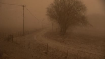 Efectos de la ceniza expulsada por el volc&aacute;n Puyehue cerca de la localidad de Ingeniero Jacobacci, en la provincia de R&iacute;o Negro, Argentina.