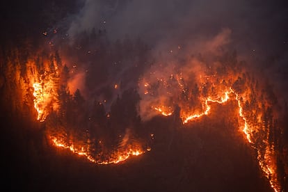 Avance del fuego, en Cañones del Sil, Lugo, Galicia (España).