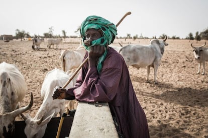 Pastor en el pueblo de Mbetiou Peulh