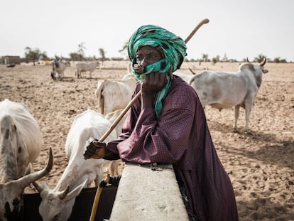 Un pastor vigila su ganado mientras bebe de un pozo en el pueblo de Mbetiou Peulh en Senegal, en mayo de 2020.