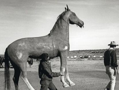 La imagen del vaquero John Wayne, inmortalizada en 1959 durante el rodaje de El &Aacute;lamo. Detr&aacute;s, un atrezista con un caballo de cart&oacute;n piedra a la medida del actor. 